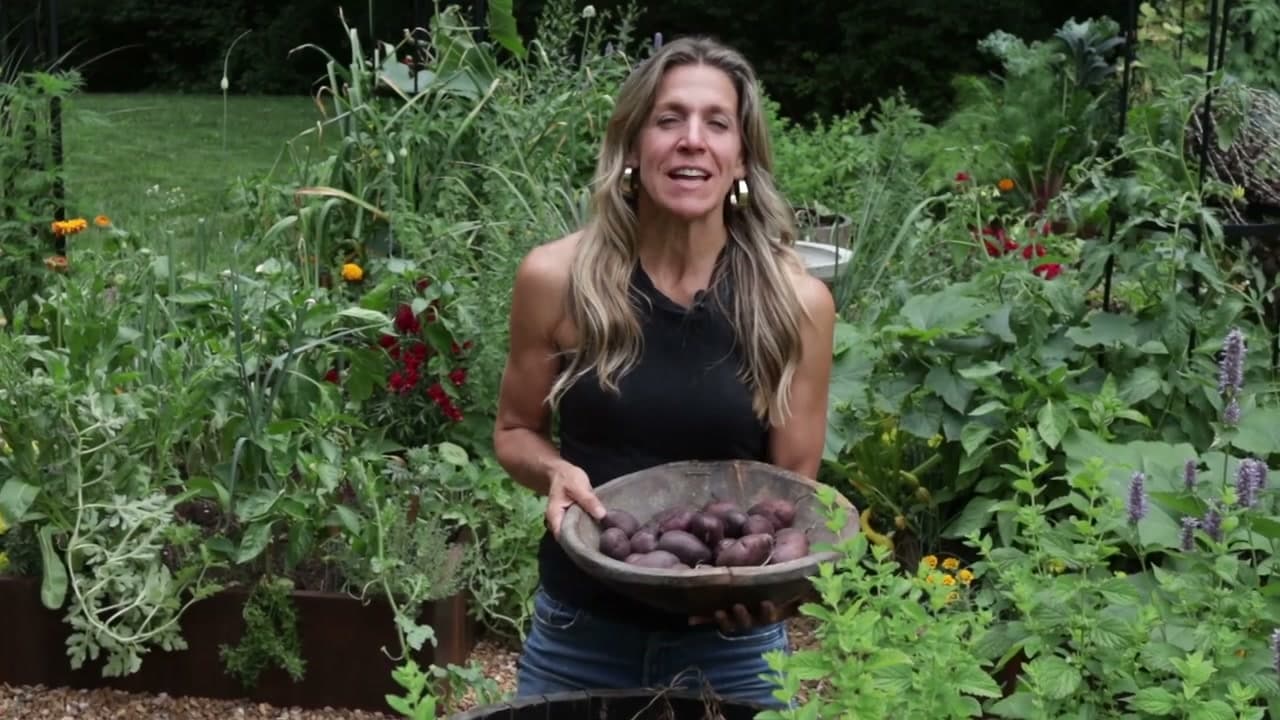 The finished result: When to Harvest Potatoes (5 Signs They're Ready)
